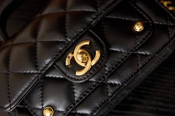 2026131222332169 620